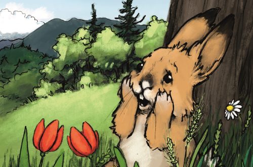 Cover of Where is my Basket?